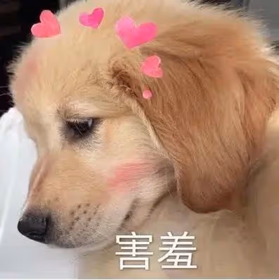 四月就該吃菠蘿蛋糕！幾步搞定，酸甜脆爽超過癮！