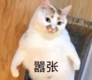 奶茶都給我靠邊站！這一袋才是yyds，隨手一攪0難度！