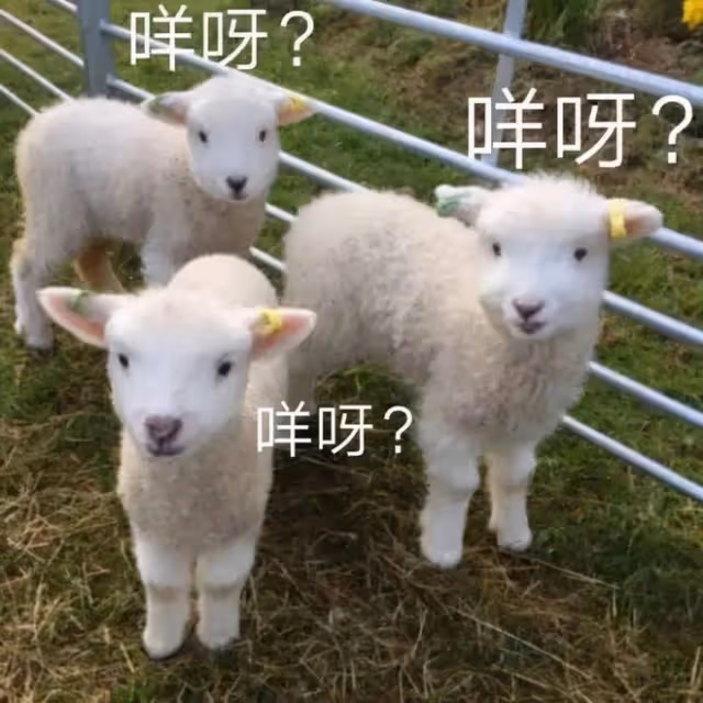 偷師老字號配方！隨手一拌酥軟噴香，一口氣吃四個！