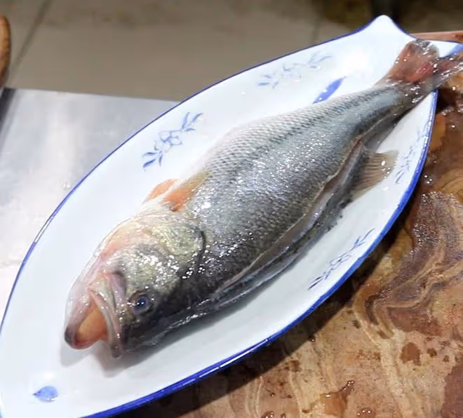 建議中老年人：退休後不管有錢沒錢，4樣食物要多吃，常吃少生病