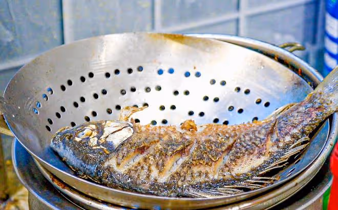 最適合中老年人吃的食物排行榜，魚肉排第5，木耳排第2，建議了解