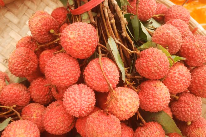 荔枝最好吃的5個品種，「桂味」只排第二，第一堪稱「荔枝之王」