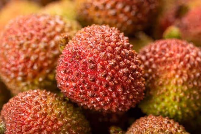 荔枝最好吃的5個品種，「桂味」只排第二，第一堪稱「荔枝之王」