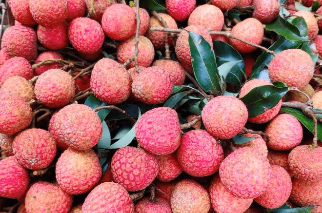 荔枝最好吃的5個品種，「桂味」只排第二，第一堪稱「荔枝之王」