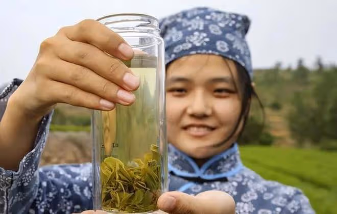 建議中年人：夏季少喝飲料和冰水，多喝3種好茶，清涼消暑又解饞