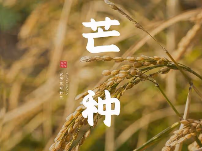 明日芒種，記得多吃「2紅2綠」，少食2樣，應季而食，平安度夏