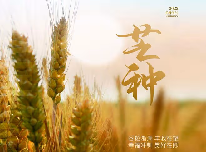 明日芒種，牢記「吃一肉、飲二水、食三瓜」，調節飲食，安穩度夏