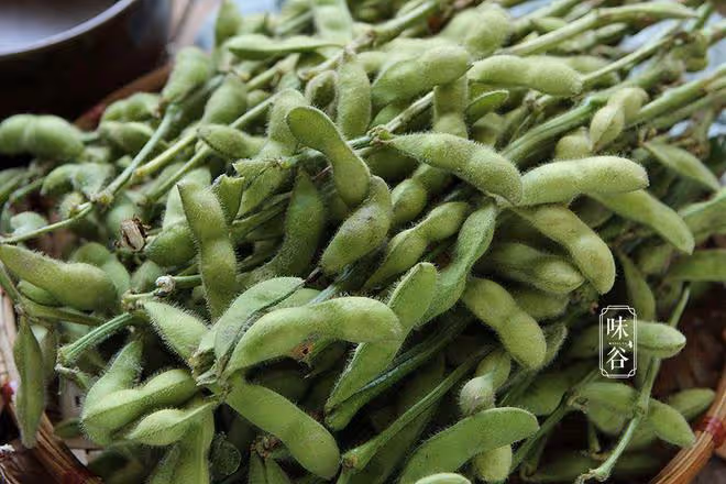 煮毛豆，熱水下鍋還是冷水下鍋？很多人不懂，難怪毛豆發黃不入味