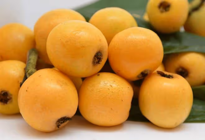 小滿時節，這6種金牌水果要多吃，生津止渴營養高，輕鬆度過夏季