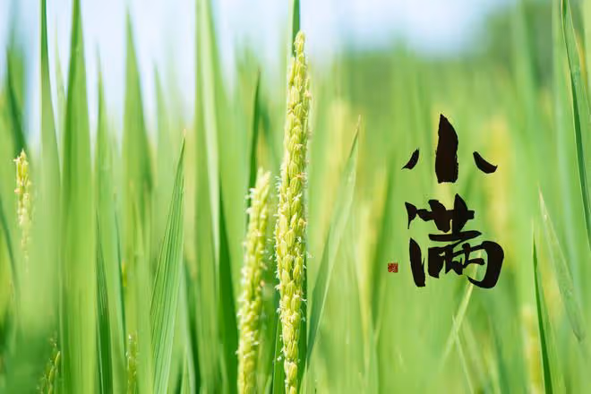 進入小滿，有錢沒錢，記得「2多吃3多喝」，補充陽氣，平安過夏天