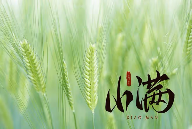 明日小滿，記得「食1味，飲2茶，吃3寶」，應季而食，安然度夏