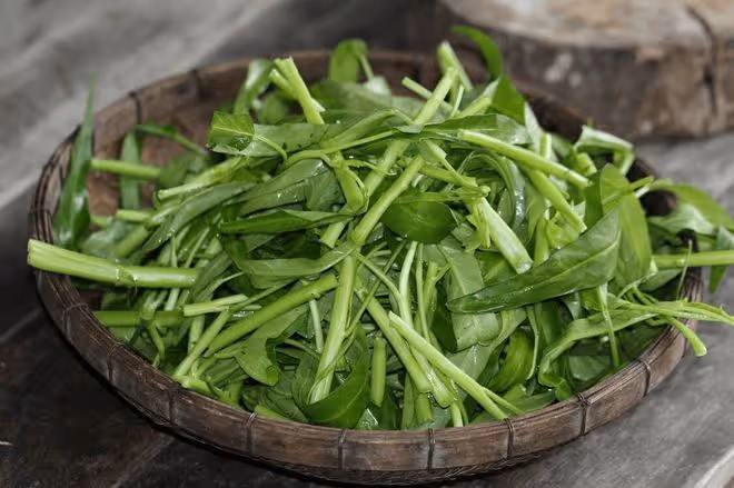 夏天減肥，多吃10種「刮油」食物，低卡飽腹又解饞，體重悄悄降