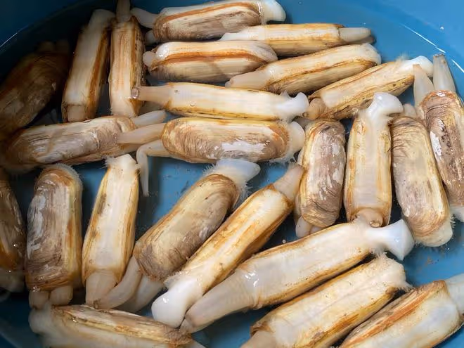 春天，多給家人喝這道湯，比雞湯還鮮美，營養易消化，好喝不上火