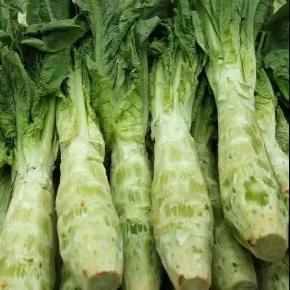 這些素食，每天堅持吃，平穩血壓降血糖，減少併發症！