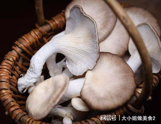 平菇搭配這些食材，價格不貴又好吃，營養加倍，超下飯