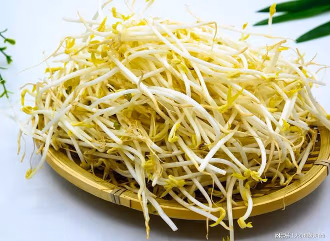 春季吃芽菜好處多，順應時令，有助陽氣生髮，一年之中獨有的美味