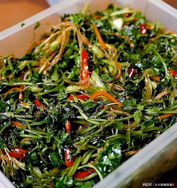今天是「世界討厭香菜日」，有愛吃香菜的嗎？經典吃法，永不過時