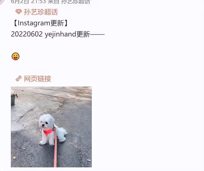 孫藝珍宣布懷孕後近照曝光，小腹凸起孕味明顯，幸福感溢出螢幕