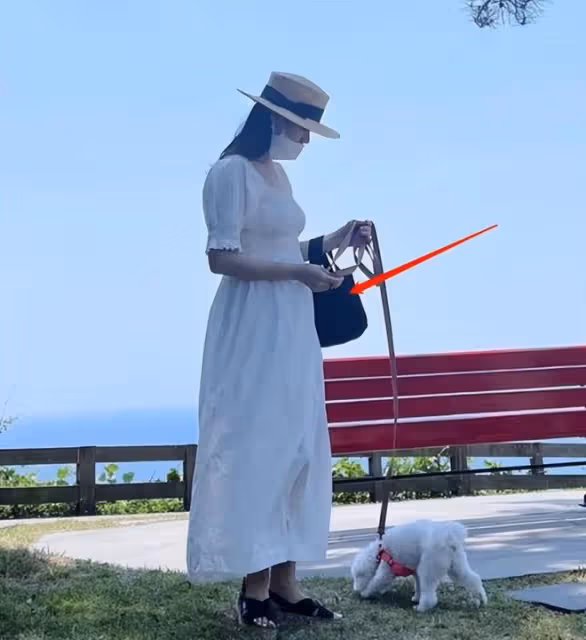 孫藝珍宣布懷孕後近照曝光，小腹凸起孕味明顯，幸福感溢出螢幕