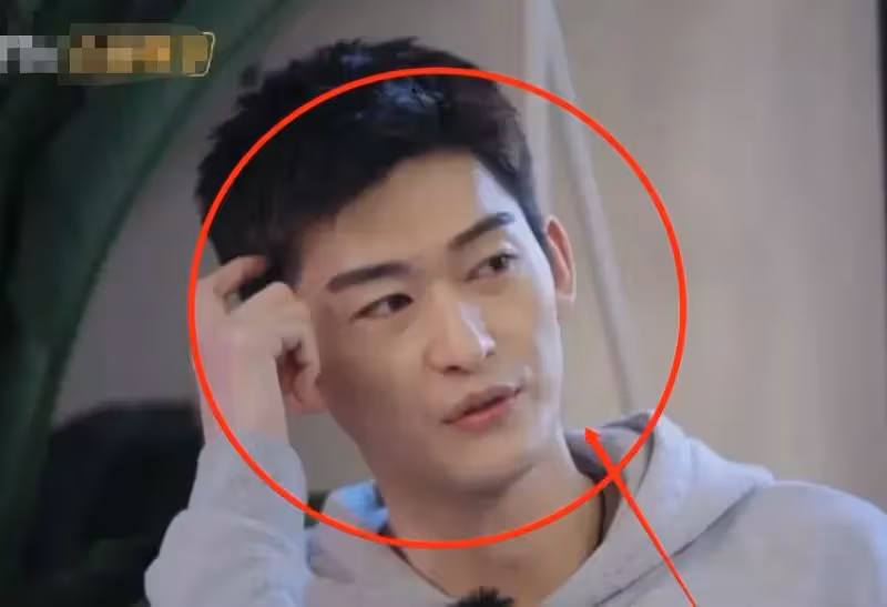 張翰在節目時被鏡頭懟著拍,在無美顏無濾鏡下,37歲的皮膚狀態好真實