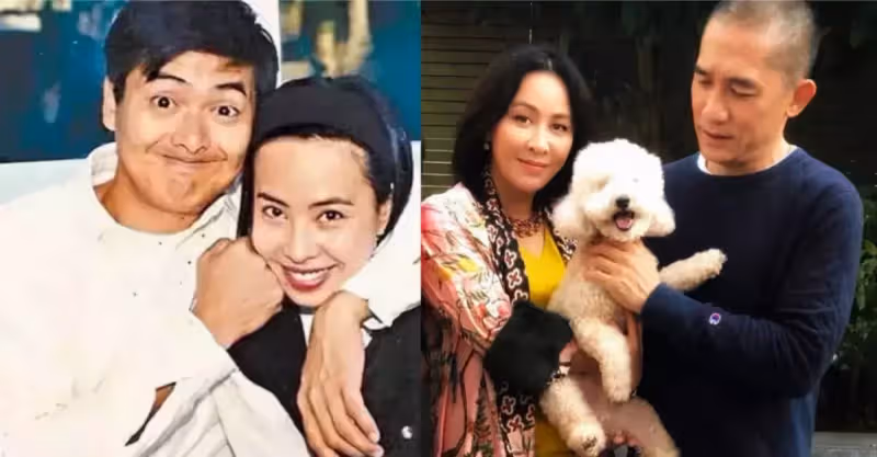娛樂圈丁克夫妻現狀，有人堅持，有人後悔，再有錢也不及天倫之樂