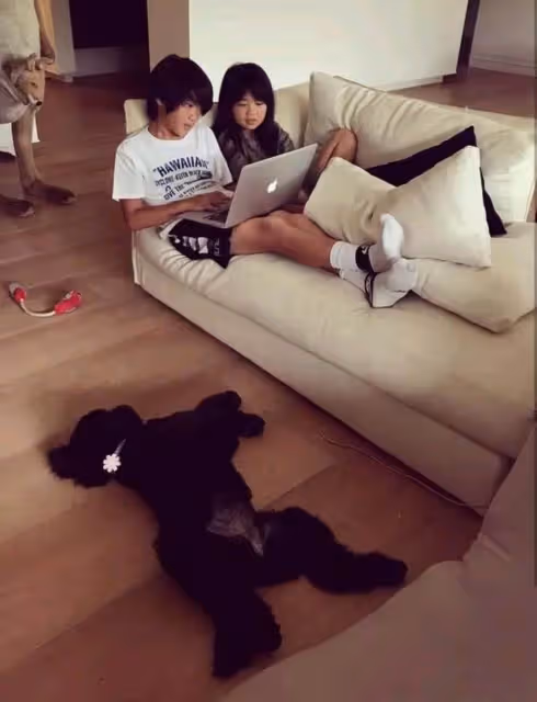 曹格女兒暴風式長大,10歲「驚豔長腿太搶鏡」,隨了模特媽媽,顏值逆襲:越長越高級