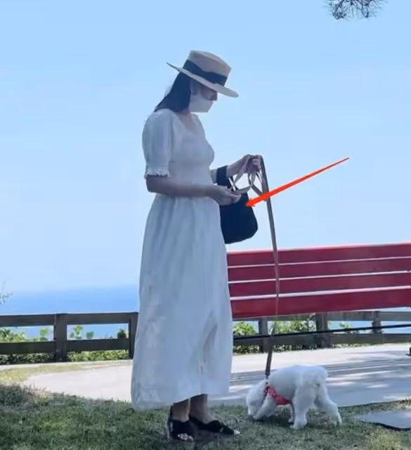 孫藝珍官宣懷孕近照曝光！外出遛狗肚腩真大，素顏穿連衣裙也變醜