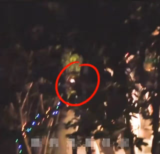 歐陽娜娜深夜與男子玩滑板,親自護送她回家,互相挽手舉止親密