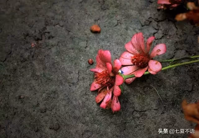 照顧婆婆五年,婆婆把房給小叔,兒媳罷工:憑什麼我要做免費保姆