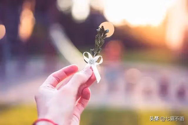 照顧婆婆五年,婆婆把房給小叔,兒媳罷工:憑什麼我要做免費保姆