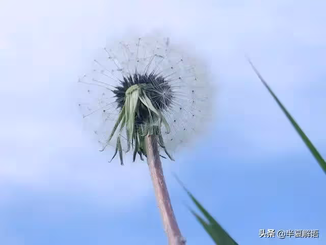 母親生病,丈夫要求AA,公婆來養老,妻子:保姆費5000一月,現結
