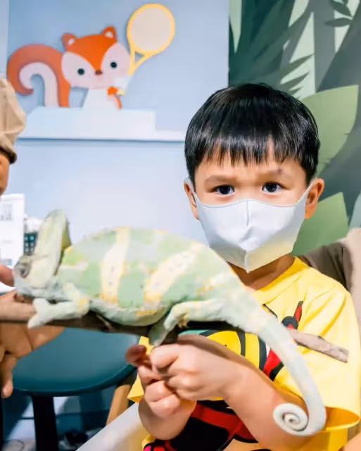 胡杏兒二兒子3歲了!奕霖「把蛇掛脖子+摸蜘蛛蜥蜴」膽子超大,對鏡燦笑「五官」更像媽媽