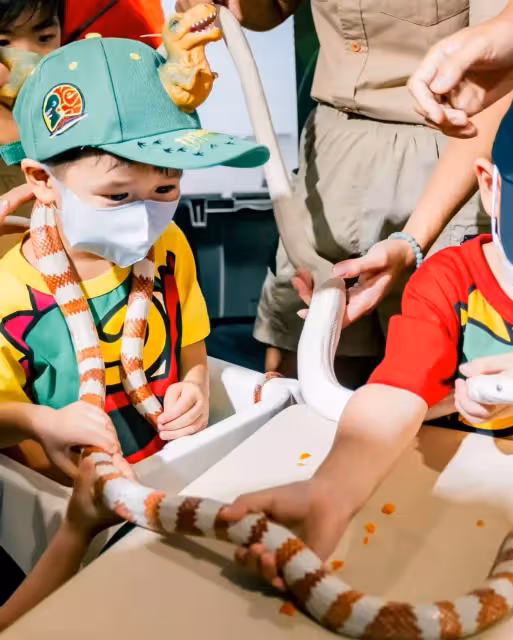 胡杏兒二兒子3歲了!奕霖「把蛇掛脖子+摸蜘蛛蜥蜴」膽子超大,對鏡燦笑「五官」更像媽媽