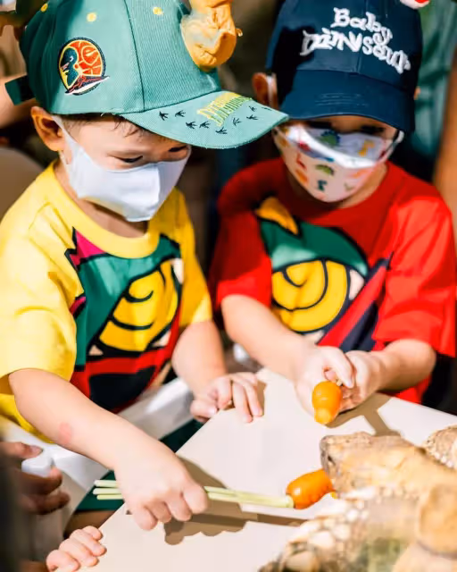 胡杏兒二兒子3歲了!奕霖「把蛇掛脖子+摸蜘蛛蜥蜴」膽子超大,對鏡燦笑「五官」更像媽媽