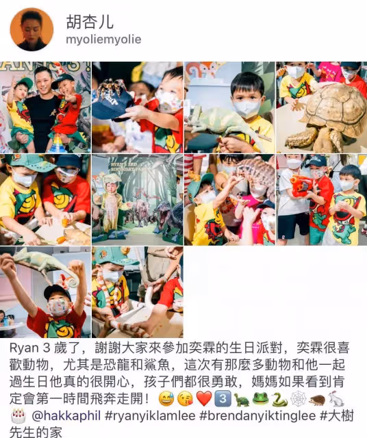 胡杏兒二兒子3歲了!奕霖「把蛇掛脖子+摸蜘蛛蜥蜴」膽子超大,對鏡燦笑「五官」更像媽媽