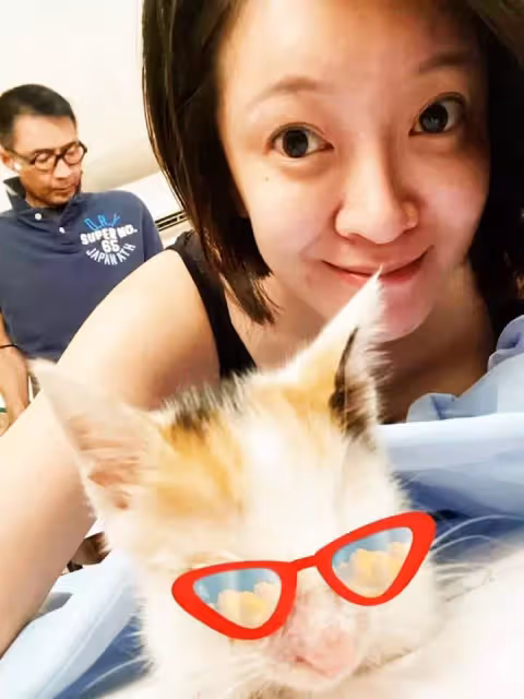 婚姻危機,小虎隊成員遭妻怒控騙吃騙住沒婚禮大吵討鑽戒,他無奈認已經沒有愛了:還被岳母砍傷