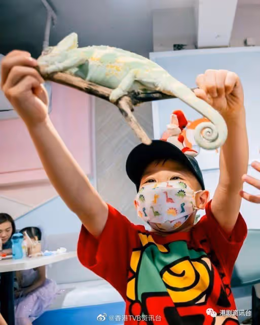 胡杏兒隔空安排爬蟲生日會!秦沛生日玩金雞獨立順便曬大屋