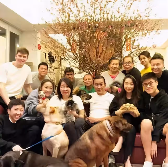 影帝梁家輝的豪宅太大了!一棵臘梅樹長在客廳,內景布置就像是殿堂一般,網:真的是極盡奢侈