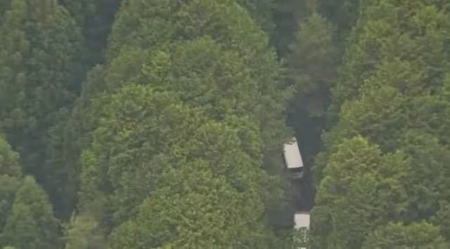 日本女星被吊樹上慘死，失蹤兩周才發現遺體，嫌疑人已逮捕