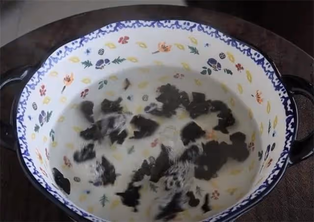 這才是涼拌苦瓜的正確做法，翠綠好吃不苦有訣竅，看一遍就學會