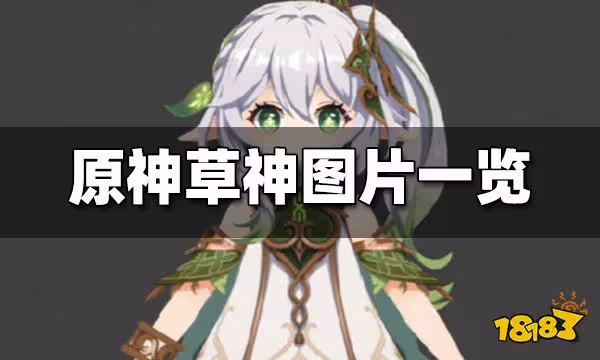 原神草神圖片一覽 草神圖片曝光