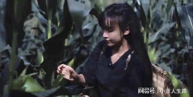 微念起訴李子柒案開庭在即，MCN公司吃相有多難看？