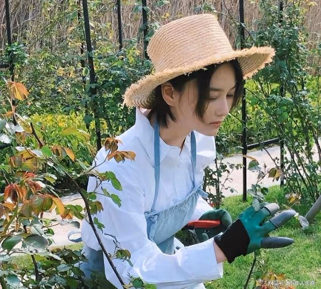 張馨予關閉直播打賞:我比你們掙得多,把錢留給父母孩子吧