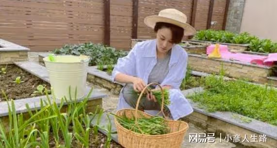 張馨予關閉直播打賞:我比你們掙得多,把錢留給父母孩子吧