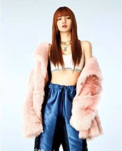 25歲的lisa擁有驚人的財富,據傳她已經購買了一架私人飛機