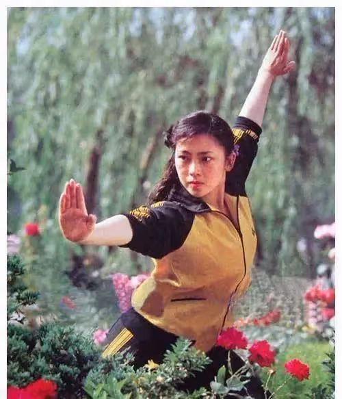 「差距太明顯」爸爸同樣是李連杰,「現任利智女兒」與前妻黃秋燕女兒,現狀:有無「父愛差距」一看就知道