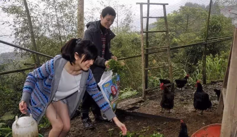 阿西退休生活曝光,山居15年「觀音牽線買800坪地」 親自種植蔬果,常年茹素「養雞養鴨」:不吃肉不殺生