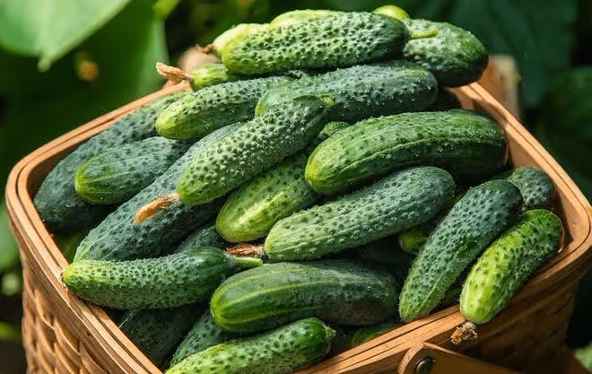 「10大美白食物」排行榜，夏天常吃，皮膚白嫩有光澤，別不懂吃
