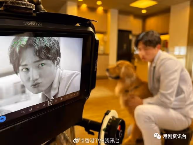 TVB最受捧小生出席活動!竟不知新劇改名《傲嬌與章經》