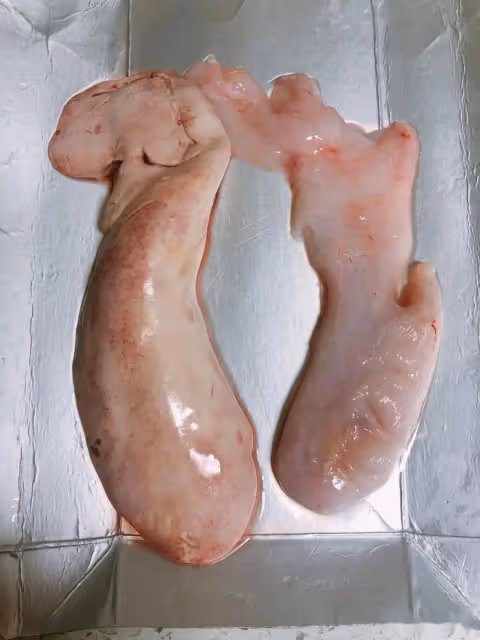 魚身上「最精華」的3個部位，魚販子都留下自己吃，比魚翅還珍貴